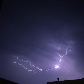 Telegram Channel logo tradew_us. Free Telegram Channel Analytics