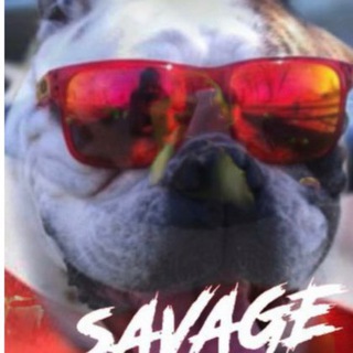 Telegram Channel logo SQvQge Dawg. Free Telegram Channel Analytics