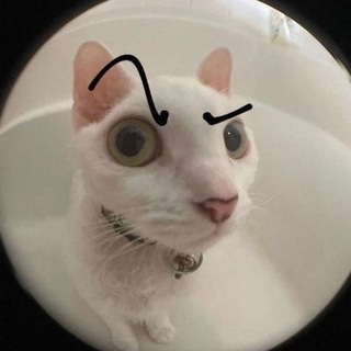 Логотип Телеграм канала Bratishkin Squad. Бесплатная аналитика Telegram каналов