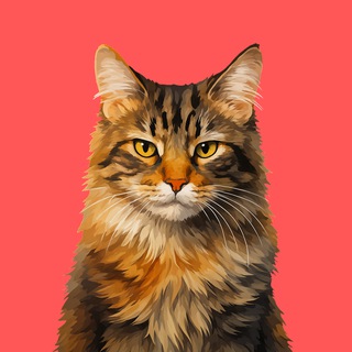 Telegram Channel logo cat_borya. Free Telegram Channel Analytics