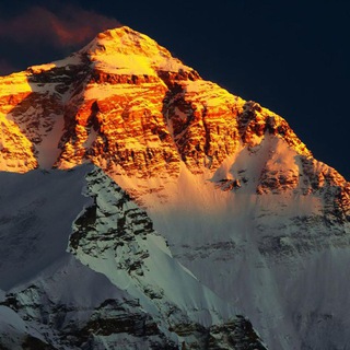 Telegram Channel logo Kvp Equity. Free Telegram Channel Analytics