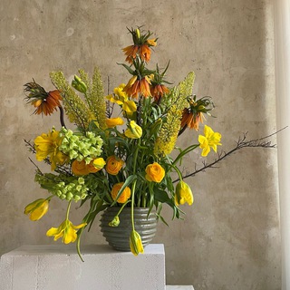 Логотип Телеграм канала . Бесплатная аналитика Telegram каналов