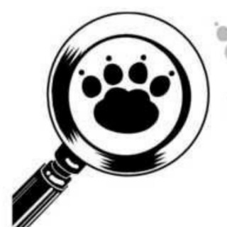 Telegram Channel logo poisk_zhivotnyh_samara. Free Telegram Channel Analytics