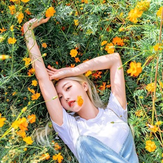 Логотип Телеграм канала korea_paradoks. Бесплатная аналитика Telegram каналов