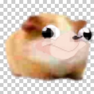 Логотип Телеграм канала . Бесплатная аналитика Telegram каналов