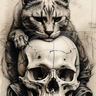 Логотип Телеграм канала Марк Калмыков. Бесплатная аналитика Telegram каналов