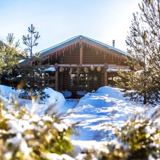 Логотип Телеграм канала efimovskiyles. Бесплатная аналитика Telegram каналов