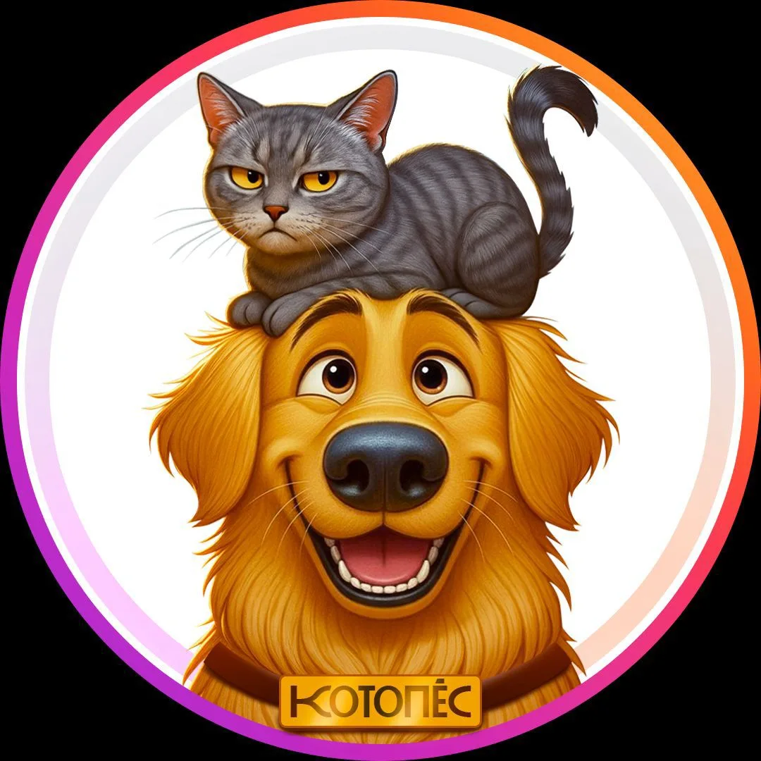 Telegram Channel logo club223320399. Free Telegram Channel Analytics