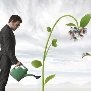 Telegram Channel logo projfinance. Free Telegram Channel Analytics