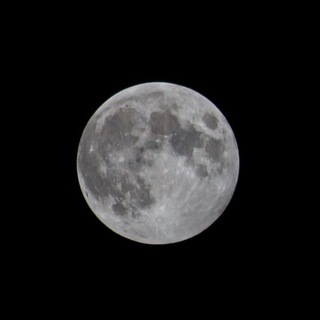 Telegram Channel logo panfilov_jpg. Free Telegram Channel Analytics