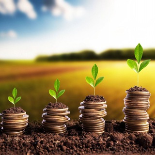 Логотип Телеграм канала AgroForumKz. Бесплатная аналитика Telegram каналов