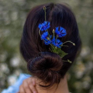 Логотип Телеграм канала . Бесплатная аналитика Telegram каналов