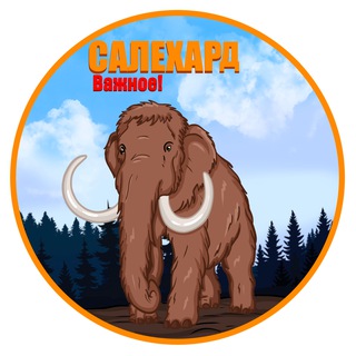 Telegram Channel logo salehard_vazhnoe. Free Telegram Channel Analytics