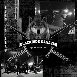 Telegram Channel logo . Free Telegram Channel Analytics