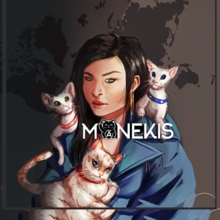 Логотип Телеграм канала . Бесплатная аналитика Telegram каналов