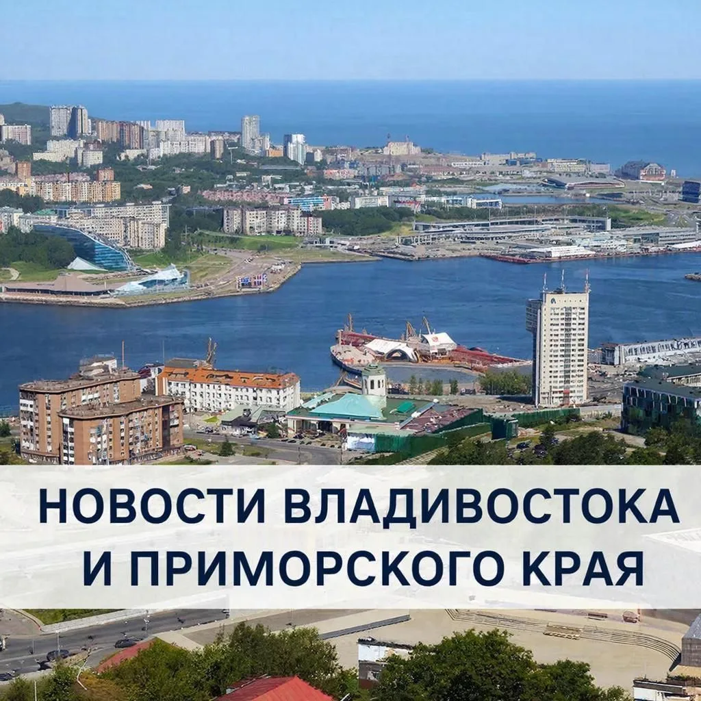 Логотип Телеграм канала id2512466944_biz. Бесплатная аналитика Telegram каналов