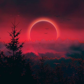 Telegram Channel logo • TEAM GMSM BoTS. Free Telegram Channel Analytics