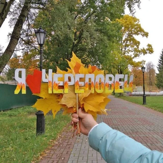 Telegram Channel logo -udvfn2idrzhwkdf4tlr0dmuzmkvri99-ghxurjjwvu. Free Telegram Channel Analytics