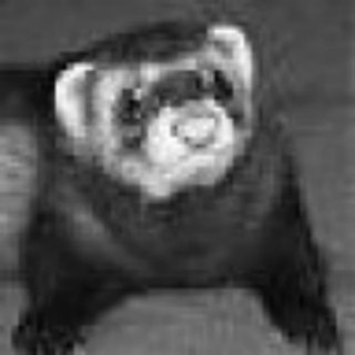 Telegram Channel logo [anywhere] Department of Ferrets, Memetics, Cognitohazards and чіназес. Free Telegram Channel Analytics