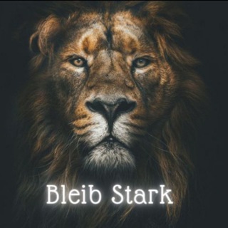 Telegram Channel logo Bleib Stark 🤜🤛. Free Telegram Channel Analytics