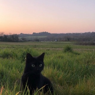 Логотип Телеграм канала iwouldnow_7777. Бесплатная аналитика Telegram каналов