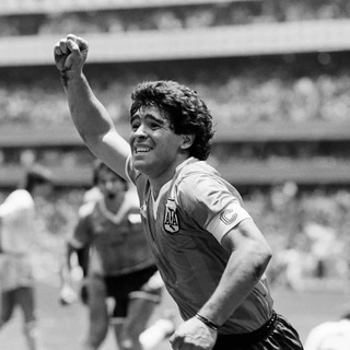 Логотип Телеграм канала . Бесплатная аналитика Telegram каналов