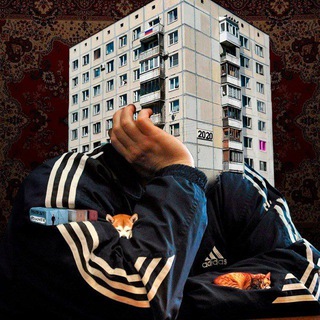 Логотип Телеграм канала ДУМЕР. Постсоветский Вавилон | DOOMER. Бесплатная аналитика Telegram каналов