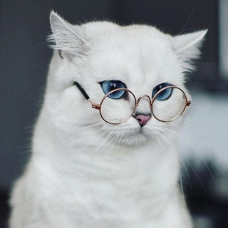 Логотип Телеграм канала eto_zhiznenno. Бесплатная аналитика Telegram каналов