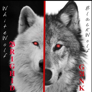 Telegram Channel logo 𝗢𝐅𝕮 𝕭𝐑𝐈𝐆𝐇𝐈𝐃 𝐆𝕬𝐍𝐊. Free Telegram Channel Analytics