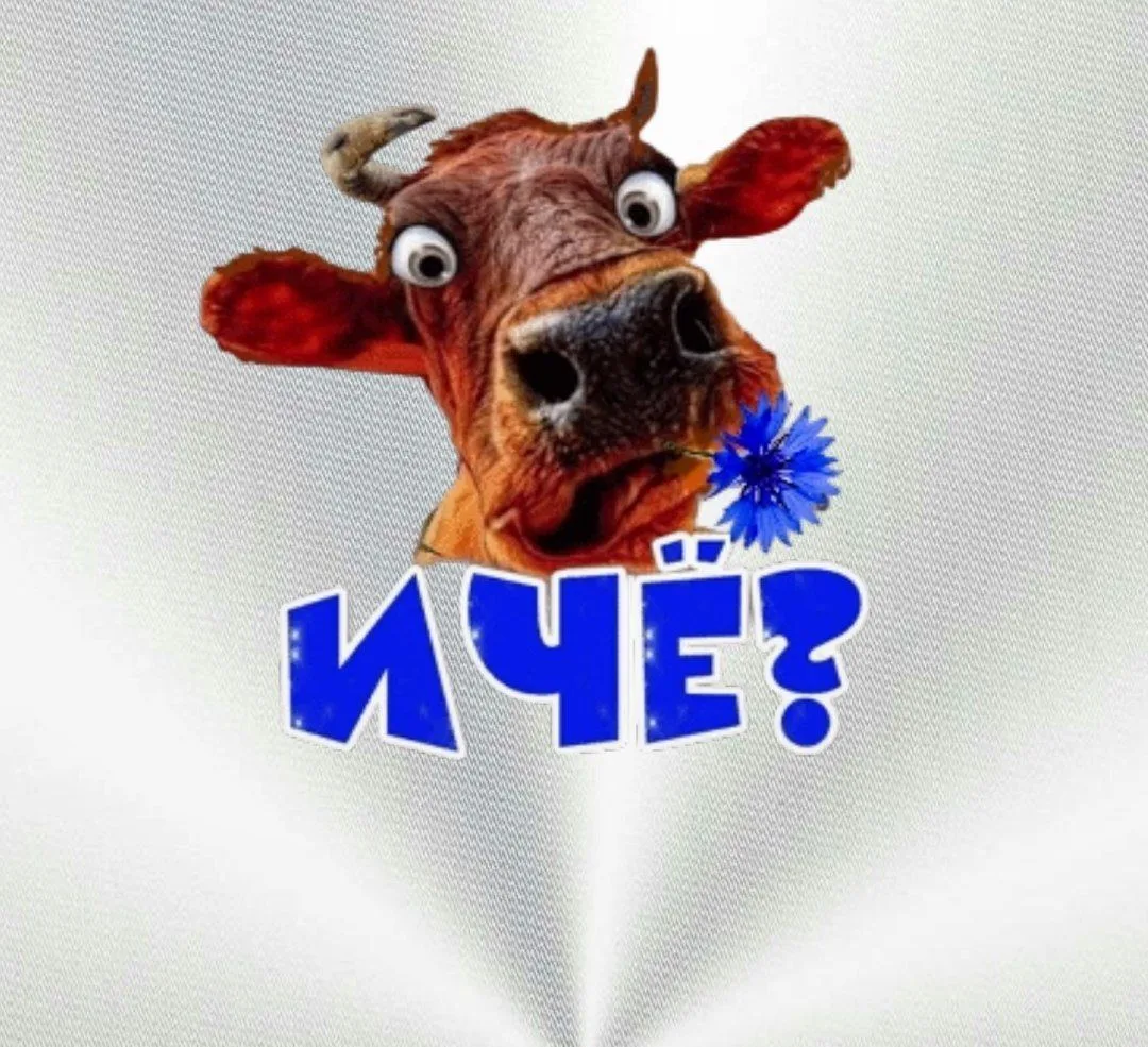 Telegram Channel logo i_che_prikoly. Free Telegram Channel Analytics