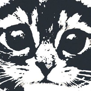 Логотип Телеграм канала iznanka163. Бесплатная аналитика Telegram каналов