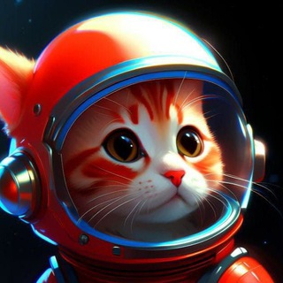 Telegram Channel logo nejrokotiki. Free Telegram Channel Analytics