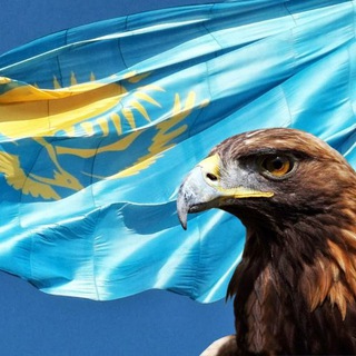 Логотип Телеграм канала OK Channel. Бесплатная аналитика Telegram каналов