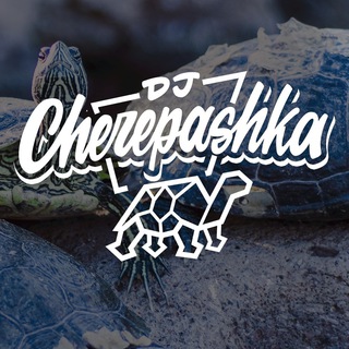 Логотип Телеграм канала dj cherepashka. Бесплатная аналитика Telegram каналов