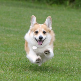 Telegram Channel logo Me_irl. Free Telegram Channel Analytics