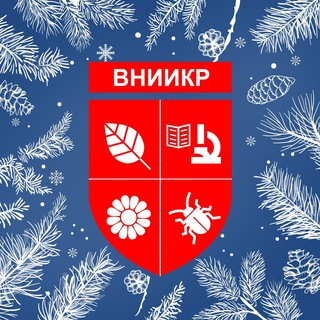 Логотип Телеграм канала . Бесплатная аналитика Telegram каналов