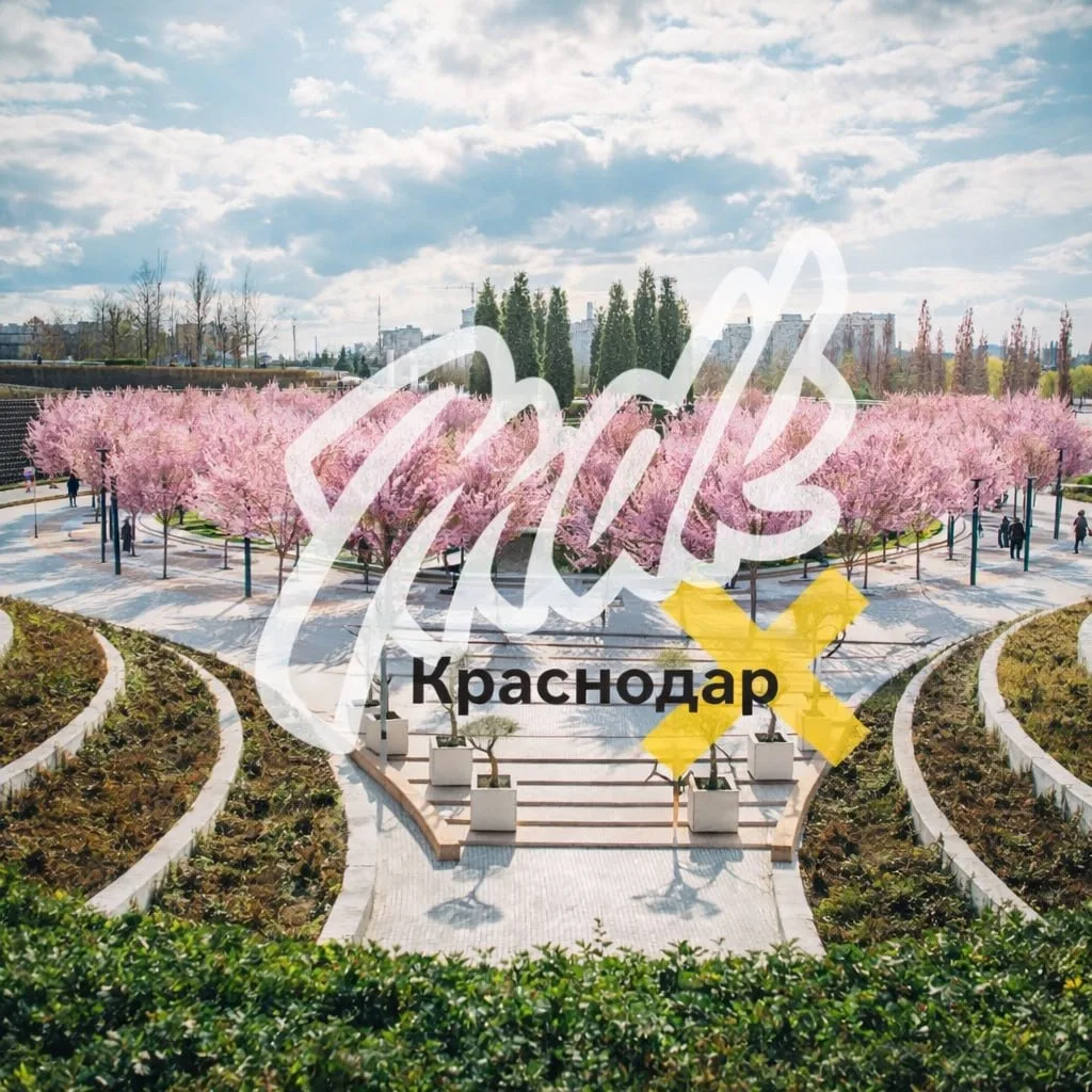 Telegram Channel logo mdk_krasnodar_krai. Free Telegram Channel Analytics