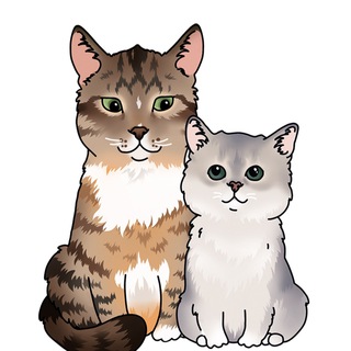 Логотип Телеграм канала . Бесплатная аналитика Telegram каналов