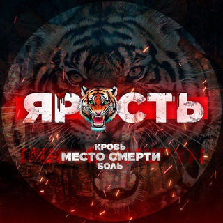 Логотип Телеграм канала +vGQgYVDXy840YzRi. Бесплатная аналитика Telegram каналов