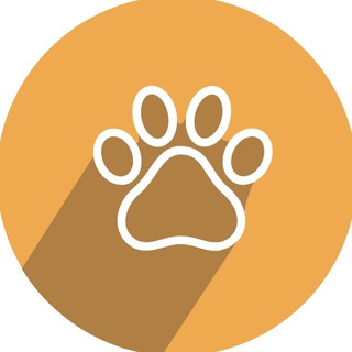 Telegram Channel logo pets_kp. Free Telegram Channel Analytics
