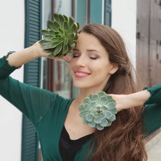 Логотип Телеграм канала . Бесплатная аналитика Telegram каналов