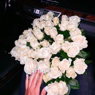 Логотип Телеграм канала Для твоих сторис 🖤. Бесплатная аналитика Telegram каналов