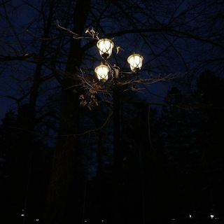 Логотип Телеграм канала микроблог 🚩. Бесплатная аналитика Telegram каналов