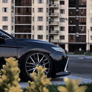 Telegram Channel logo . Free Telegram Channel Analytics