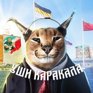 Telegram Channel logo . Free Telegram Channel Analytics