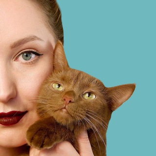 Telegram Channel logo cattalk_channel. Free Telegram Channel Analytics