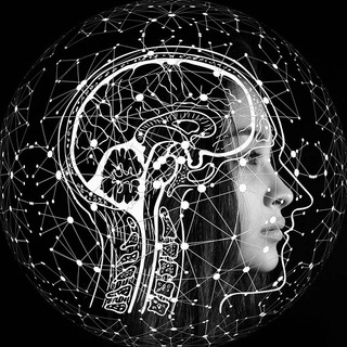 Telegram Channel logo Ingeniería, Ciencia y Tecnología. Free Telegram Channel Analytics