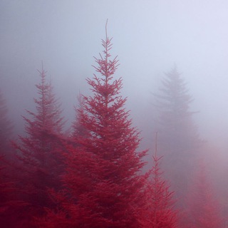 Логотип Телеграм канала Инфоканал ЖК Лесобережный. Бесплатная аналитика Telegram каналов