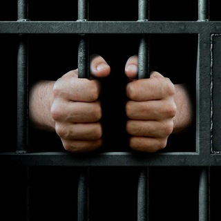 Логотип Телеграм канала . Бесплатная аналитика Telegram каналов