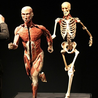 Логотип Телеграм канала . Бесплатная аналитика Telegram каналов